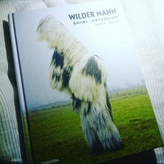 IMG_20171218_024403_591