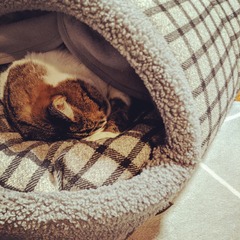 IMG_20210118_204935_575