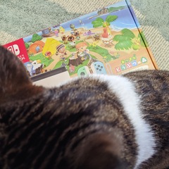 IMG_20200729_122200_189