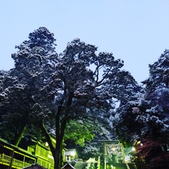 IMG_20220101_120809_09
