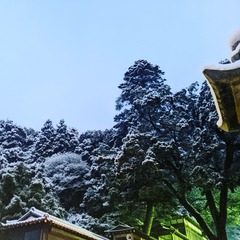 IMG_20220101_120808_91