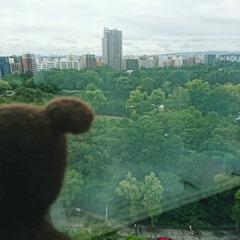 [����:6edb3c93-s.jpg]