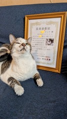 25-10-18-18-09-49-350_deco