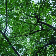 IMG_20210517_175337_663