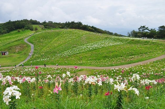 びわこ 箱館山 ゆり園 らんちゃんのキラメキわぁ るど びわこ 箱館山 ゆり園 らんちゃんのキラメキわぁ るど