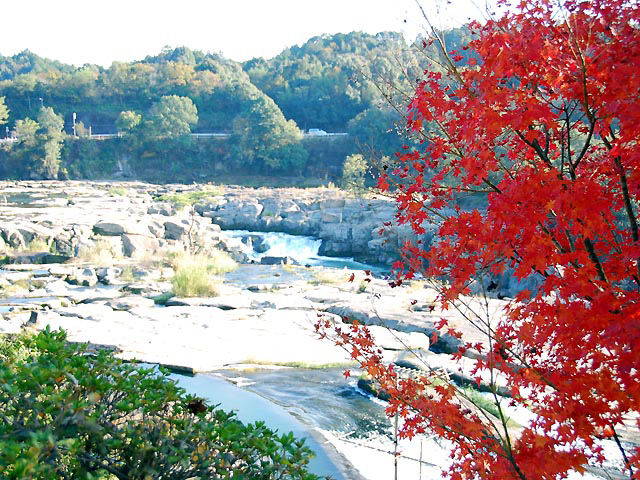紅葉スポットの見ごろ 鹿児島県 紅葉スポットの見ごろ 2013 紅葉スポットの見ごろ 鹿児島県 紅葉スポットの見ごろ 2013