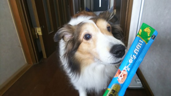 いなばワンチュール 聾者すまいるらんなーの戯言