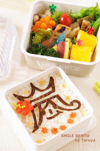 arashi-hawaii-logo