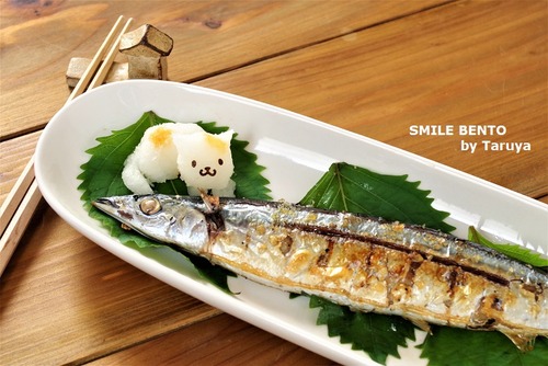 sanma-cat-logo
