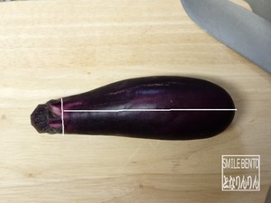 nasu10