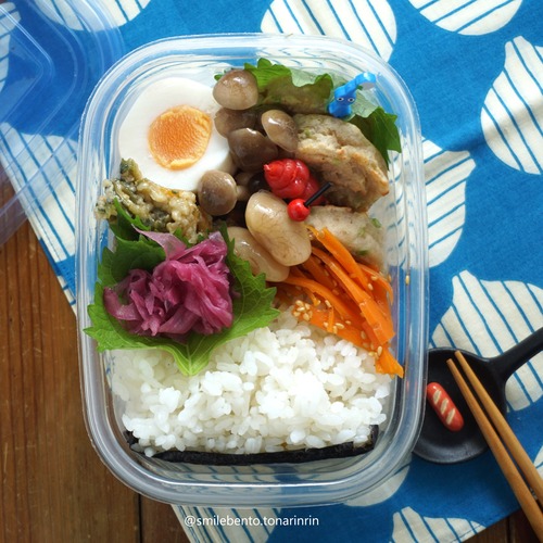 mini-shi01