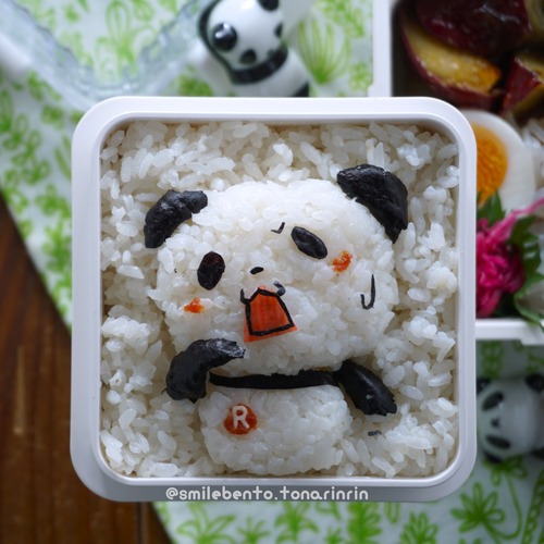 panda-find01
