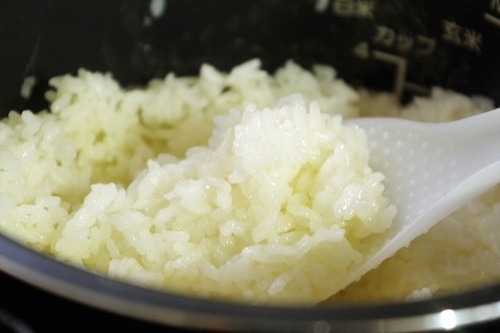 rice08