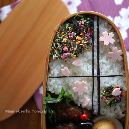 nori-sakura02