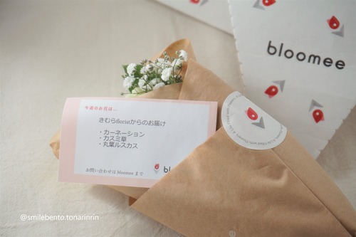 bloomee03-02