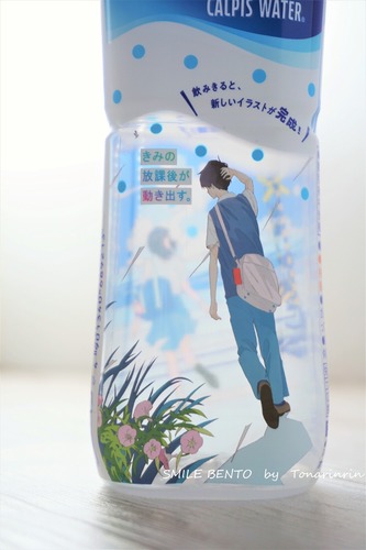 calpis01
