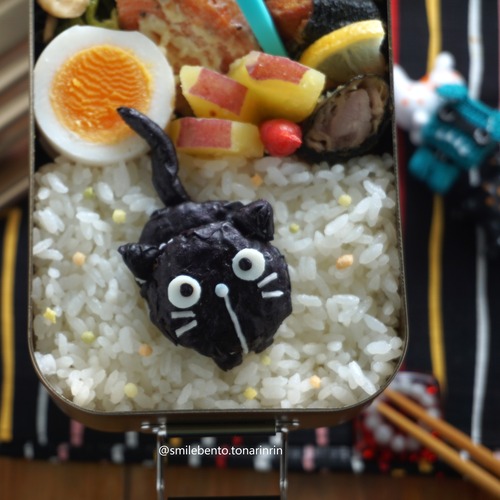 black-cat03