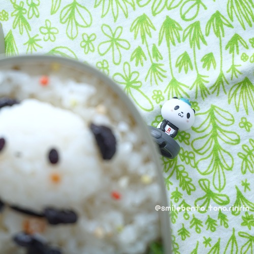 pandasday03