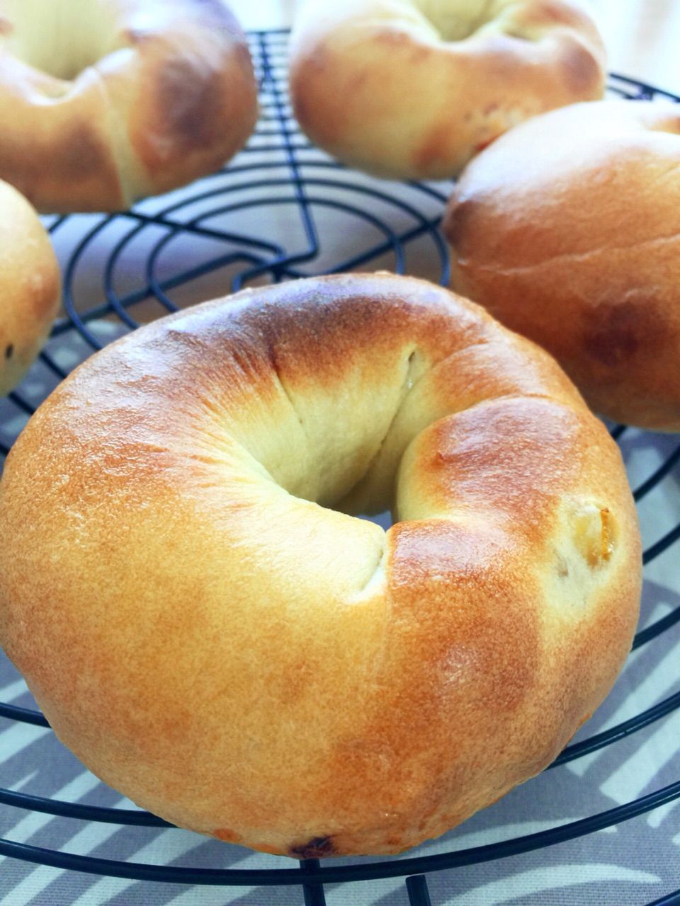ホシノ天然酵母でいろいろベーグル パン教室 Smilebread ホシノ天然酵母でいろいろベーグル パン教室 Smilebread