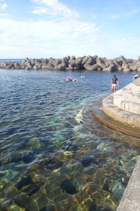 P1030980