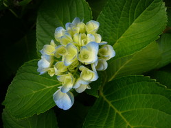 P1020417
