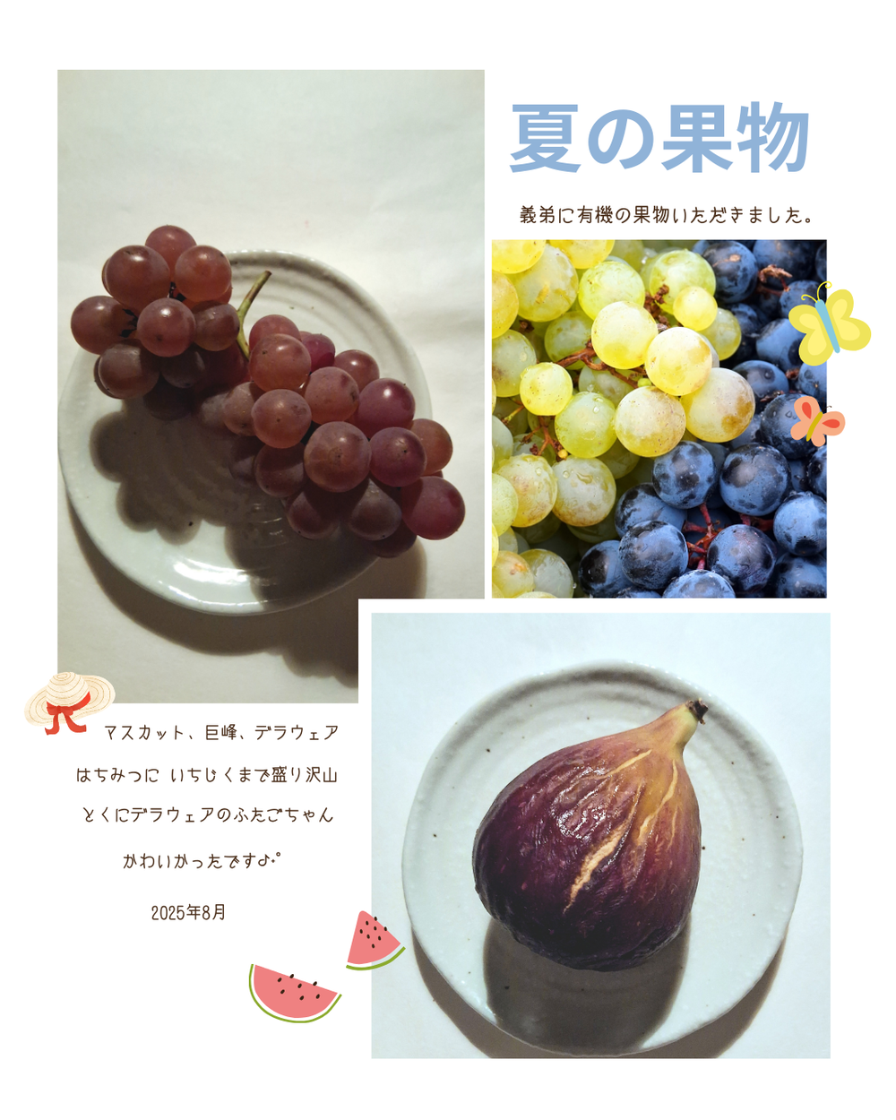 義弟に有機の果物いただきました。