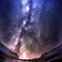 画像はな