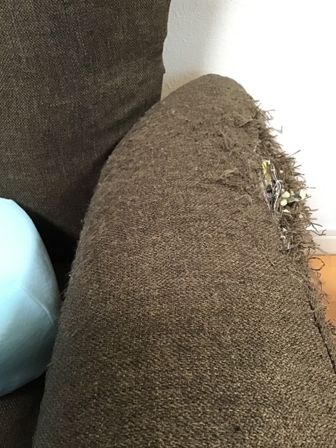 55291A78-9367-49C9-9CBC-089A0D8CE865