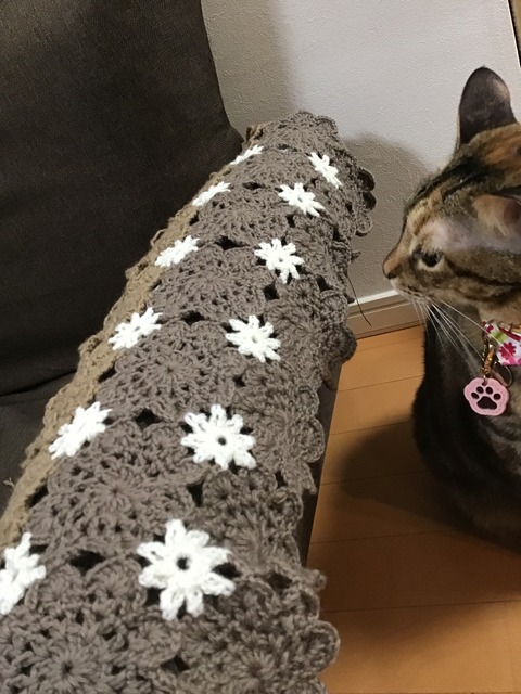 39F498F4-F4E7-48B2-BF99-C0F94E568090