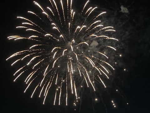 AEE3A11A-D249-4B3E-B2AC-168FE4555F52