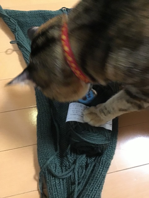 C8FCFFE6-C78B-4AC6-B2C6-F5CBDADD2D9E