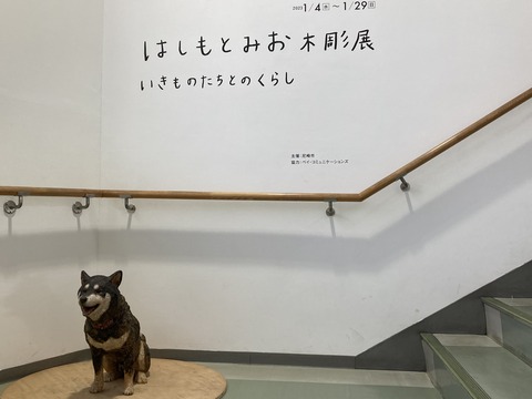 2A08F183-7DCF-4DB2-B4E5-EFB304C76B8A