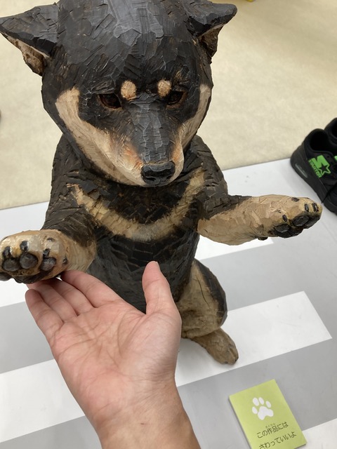 56406FB1-C2DB-4CA9-9723-353946D78EA3