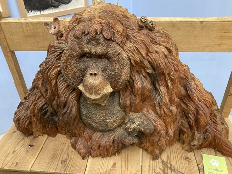 7632788E-1445-4F2D-AFDC-ACBD03398EF5