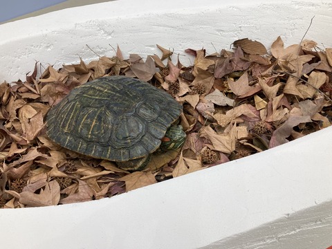 6C0C6E8D-5C5C-4653-8B96-71D2F8CE41AC