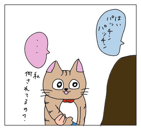 BBB514B0-CAF7-41E8-8C0F-75B4B62572DA