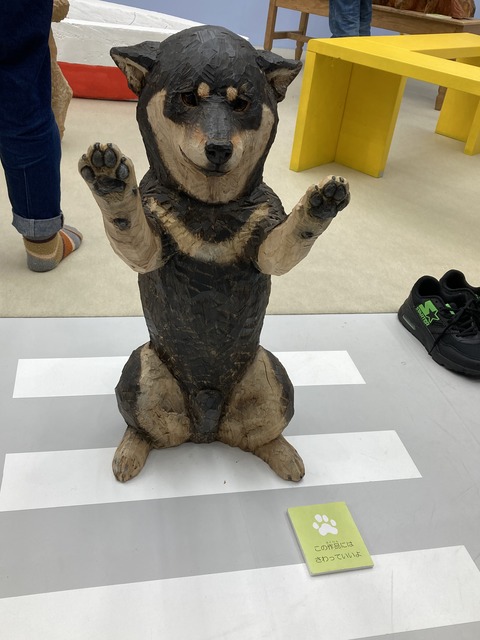 13719A80-AB08-4CCD-8C52-B6E32ACA3ECF