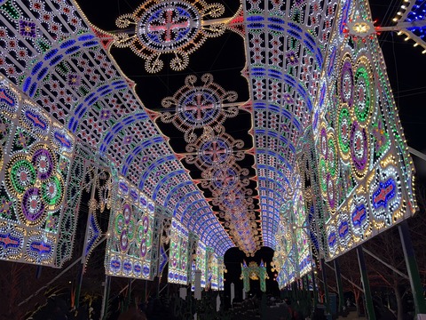 IMG_6888_Original Copy