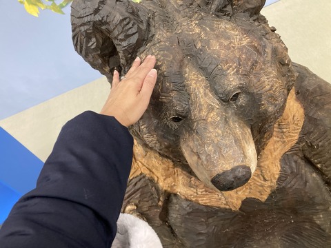 CE9C0DB1-5318-49F7-A072-5A3401921C74