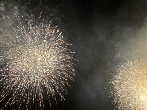 E4B69D84-F8D2-4FBC-A623-74F9C881F0C5