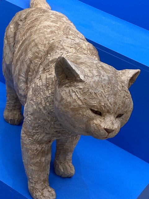 0B5FE0FE-1E1F-4027-8CC5-73A093C9790C