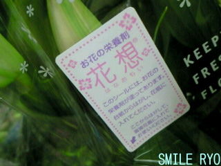 2010年10月 2日 土 Smile Ryoのつぶやき日記 2010年10月 2日 土 Smile Ryoのつぶやき日記