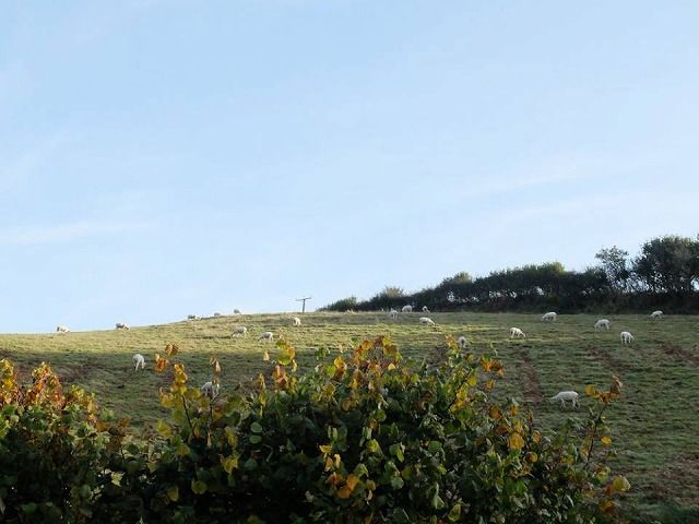 12191752_703353606468146_294842595294292550_n[1]