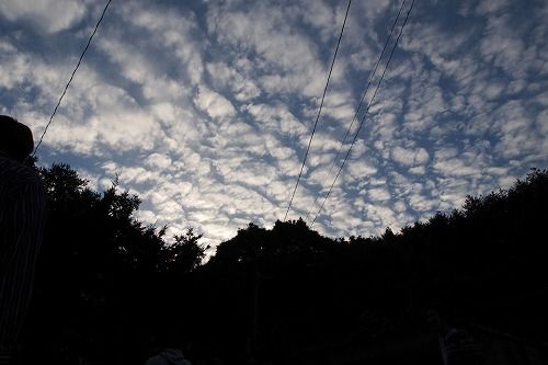sum_PA130783