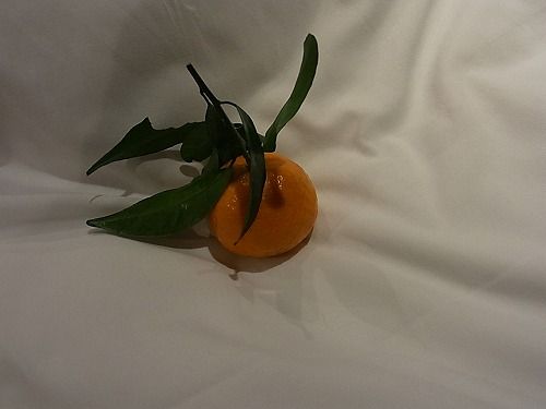 RIMG0229