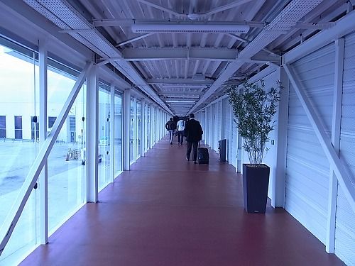 RIMG0231