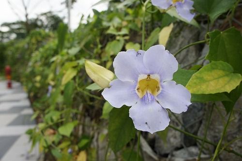 DSC02867