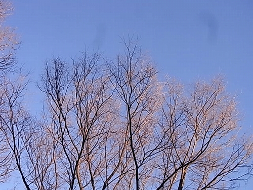 R0018449