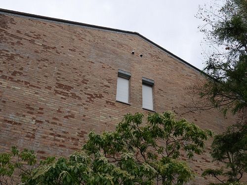 P1000194