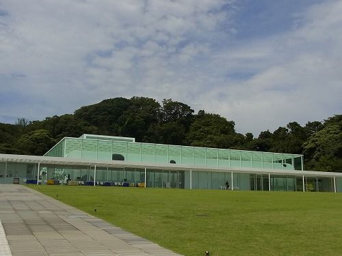 RIMG0290